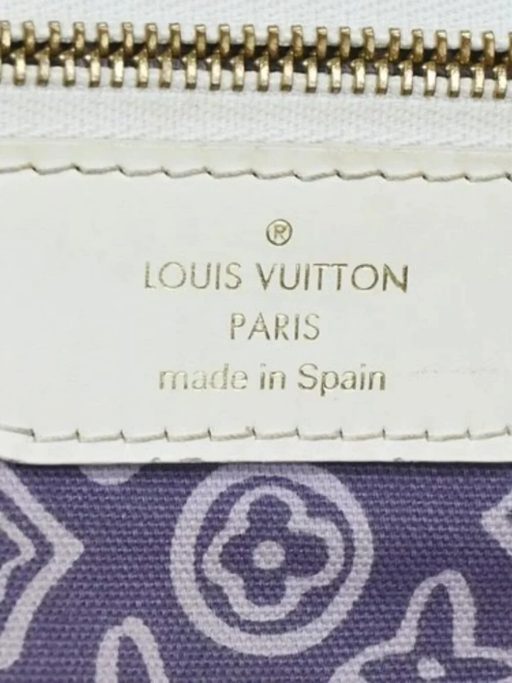 Best06 Louis Vuitton Taisienne PM Cruise Line Canvas Tote M95680 CA0078 YQ09559